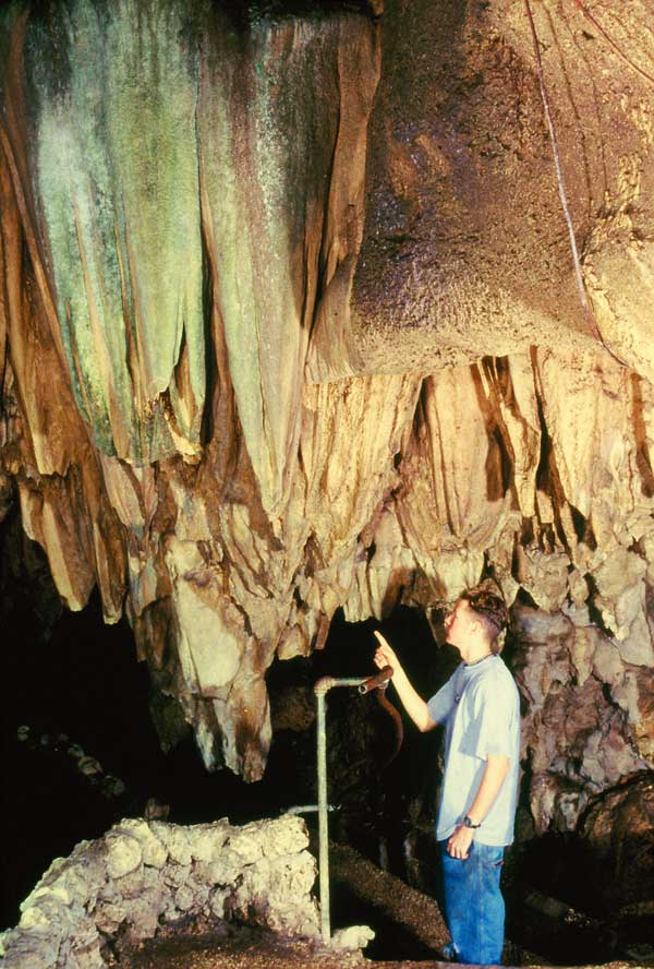 Giant Molar (Lake Room)